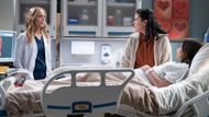 Grey's Anatomy | Image via ABC
